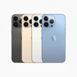 Apple iPhone 13 Pro Garanzia 1 Anno